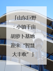 山东巨野：小镇千亩胡萝卜基地迎来“智慧大丰收”