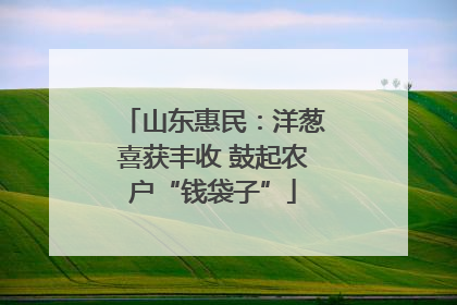 山东惠民：洋葱喜获丰收 鼓起农户“钱袋子”
