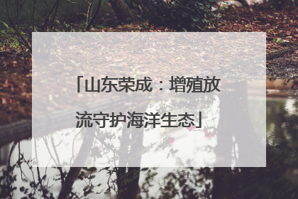 山东荣成：增殖放流守护海洋生态