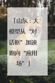 山东：大模型从“对话框”加速跑向“应用场”