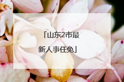 山东2市最新人事任免