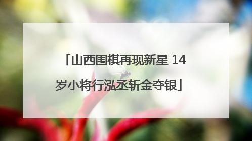 山西围棋再现新星 14岁小将行泓丞斩金夺银