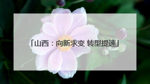 山西：向新求变 转型提速