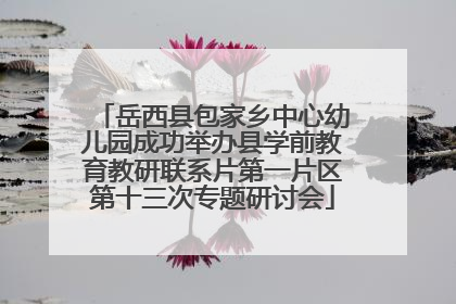 岳西县包家乡中心幼儿园成功举办县学前教育教研联系片第一片区第十三次专题研讨会