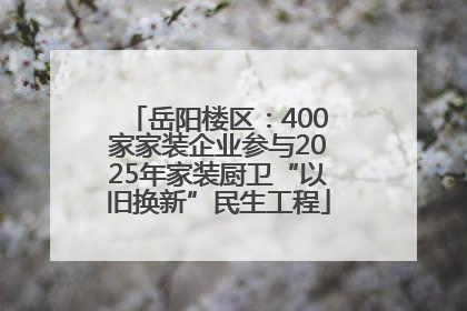 岳阳楼区：400家家装企业参与2025年家装厨卫“以旧换新”民生工程