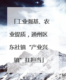 工业强基、农业提质，通州区东社镇“产业兴镇”扛担当