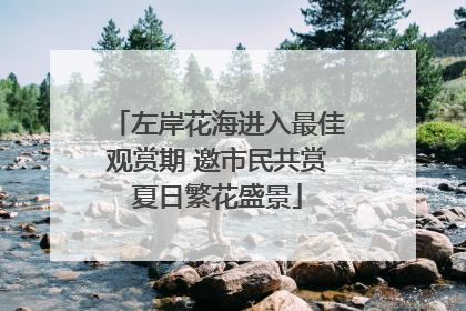 左岸花海进入最佳观赏期 邀市民共赏夏日繁花盛景