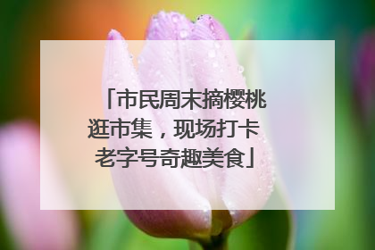 市民周末摘樱桃逛市集，现场打卡老字号奇趣美食