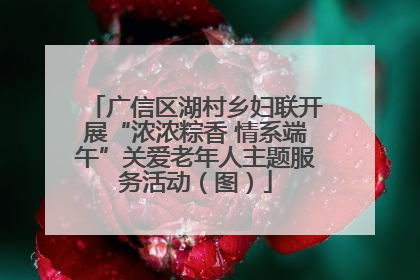广信区湖村乡妇联开展“浓浓粽香 情系端午”关爱老年人主题服务活动（图）