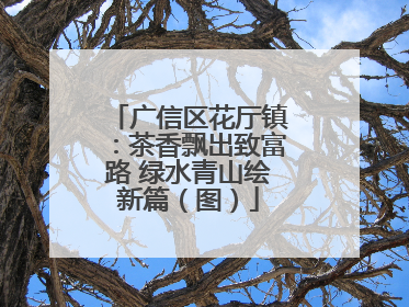 广信区花厅镇：茶香飘出致富路 绿水青山绘新篇（图）