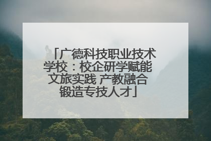 广德科技职业技术学校：校企研学赋能文旅实践 产教融合锻造专技人才