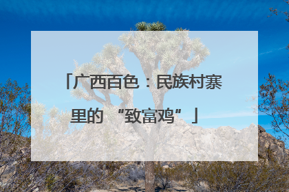 广西百色：民族村寨里的 “致富鸡”