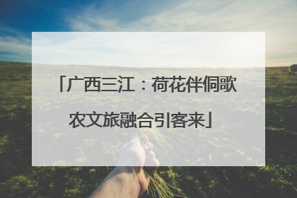 广西三江：荷花伴侗歌 农文旅融合引客来