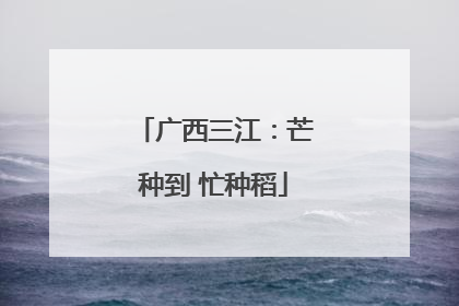 广西三江：芒种到 忙种稻