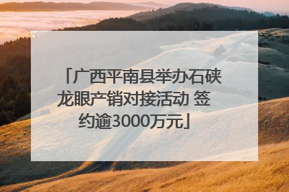 广西平南县举办石硖龙眼产销对接活动 签约逾3000万元