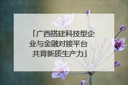 广西搭建科技型企业与金融对接平台 共育新质生产力