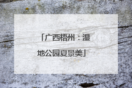 广西梧州：湿地公园夏景美