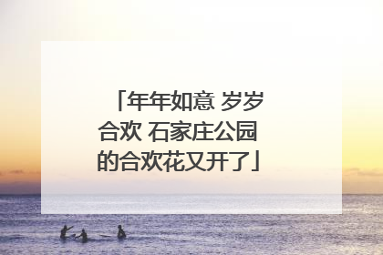年年如意 岁岁合欢 石家庄公园的合欢花又开了