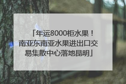 年运8000柜水果！南亚东南亚水果进出口交易集散中心落地昆明
