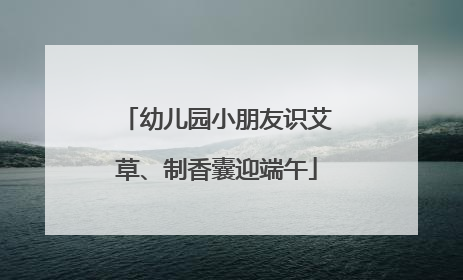 幼儿园小朋友识艾草、制香囊迎端午