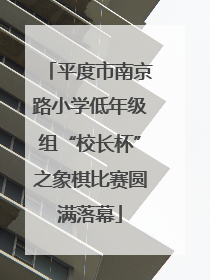 平度市南京路小学低年级组“校长杯”之象棋比赛圆满落幕