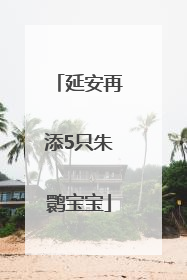 延安再添5只朱鹮宝宝