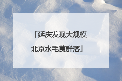 延庆发现大规模北京水毛茛群落