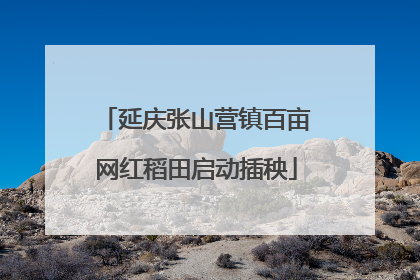延庆张山营镇百亩网红稻田启动插秧