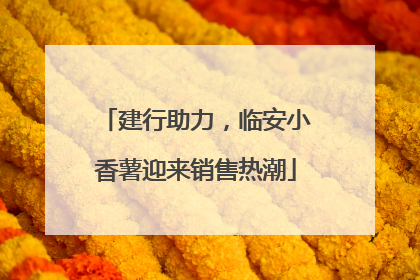建行助力，临安小香薯迎来销售热潮