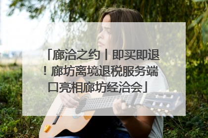 廊洽之约丨即买即退！廊坊离境退税服务端口亮相廊坊经洽会