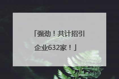 强劲！共计招引企业632家！