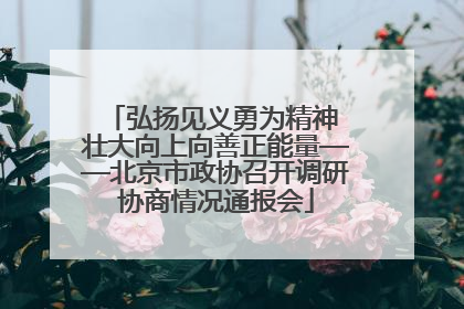 弘扬见义勇为精神 壮大向上向善正能量——北京市政协召开调研协商情况通报会