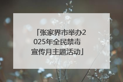 张家界市举办2025年全民禁毒宣传月主题活动