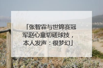 张智霖与世锦赛冠军赵心童切磋球技，本人发声：很梦幻