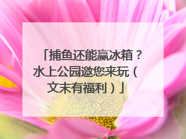 捕鱼还能赢冰箱？水上公园邀您来玩（文末有福利）