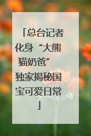 总台记者化身“大熊猫奶爸” 独家揭秘国宝可爱日常