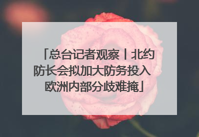 总台记者观察丨北约防长会拟加大防务投入 欧洲内部分歧难掩