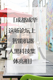 成都成华这场论坛上 智能机器人黑科技集体亮相