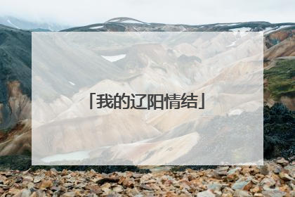 我的辽阳情结