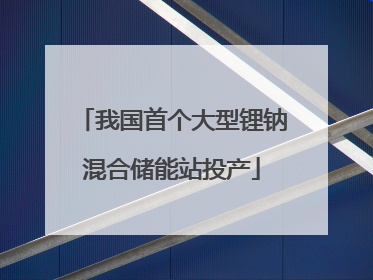 我国首个大型锂钠混合储能站投产