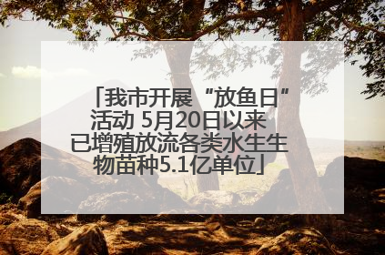 我市开展“放鱼日”活动 5月20日以来已增殖放流各类水生生物苗种5.1亿单位