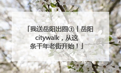 我送岳阳出圈①丨岳阳citywalk，从这条千年老街开始！