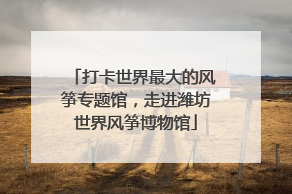 打卡世界最大的风筝专题馆，走进潍坊世界风筝博物馆
