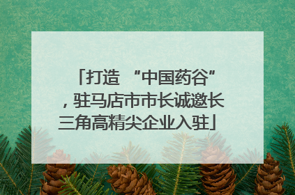 打造 “中国药谷”，驻马店市市长诚邀长三角高精尖企业入驻
