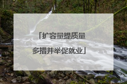 扩容量提质量 多措并举促就业