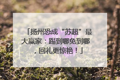 扬州恐成“苏超”最大赢家：踢到哪免到哪，回礼更惊艳！