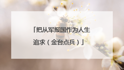把从军报国作为人生追求（金台点兵）