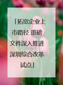 拓宽企业上市路径 重磅文件深入推进深圳综合改革试点