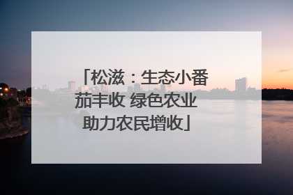 松滋：生态小番茄丰收 绿色农业助力农民增收
