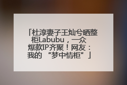 杜淳妻子王灿兮晒整柜Labubu，一众爆款IP齐聚！网友：我的 “梦中情柜”
